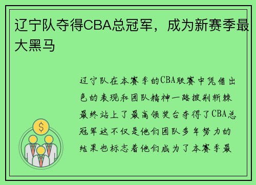 辽宁队夺得CBA总冠军，成为新赛季最大黑马