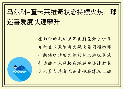 马尔科-查卡莱维奇状态持续火热，球迷喜爱度快速攀升